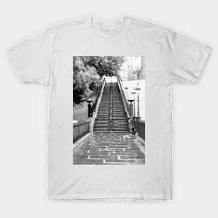 Playfair Steps, Edinburgh T-Shirt